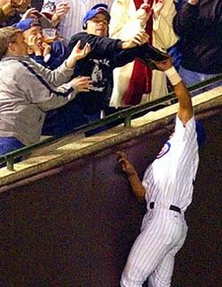 Steve bartman le fan des cubs